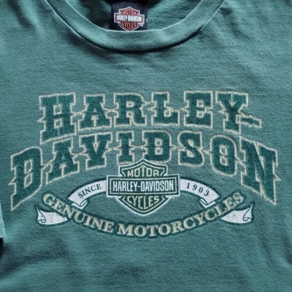 Harley-Davidson Other - HARLEY DAVIDSON T-SHIRT, 100% COTTON, GRAPHICS FRONT & BACK, EUC, SZ XL